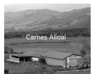 Logo de Carnes Alloal