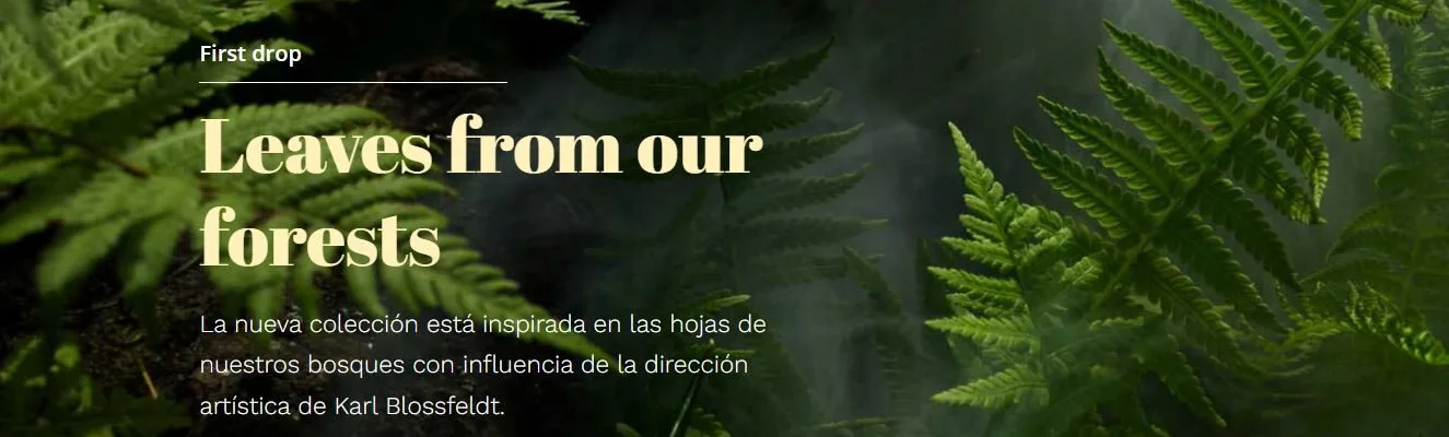 Origami The Brand - Moda sostenible