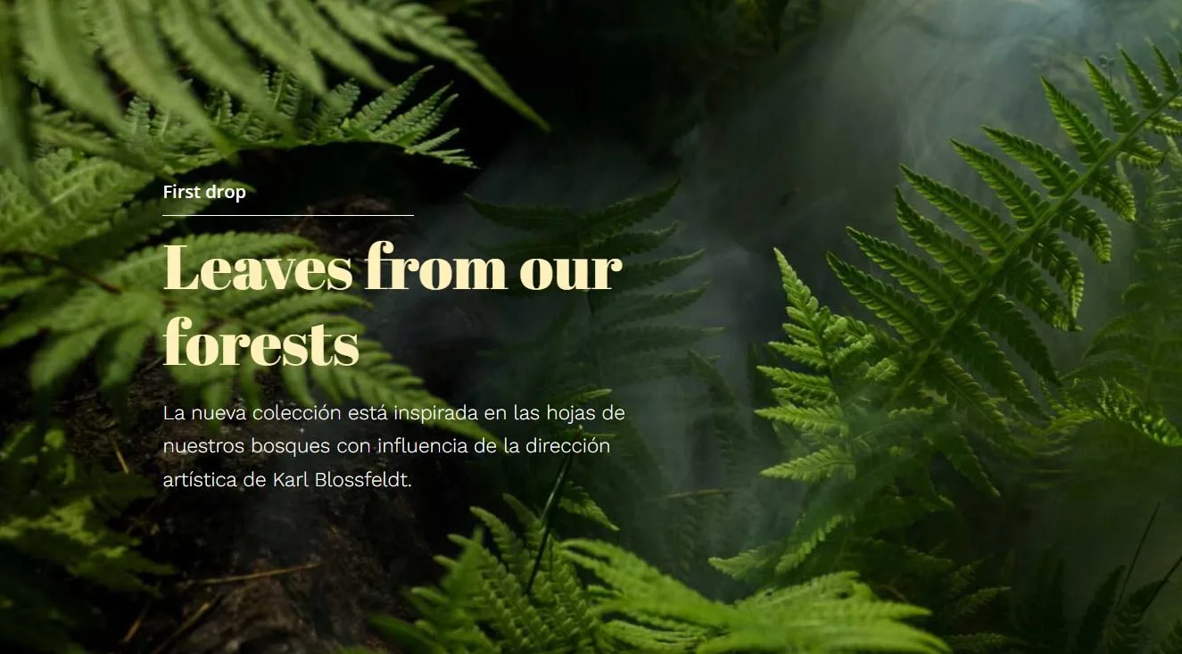 Origami The Brand - Moda sostenible