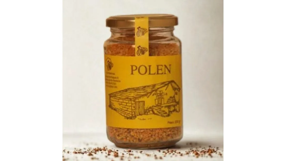 Diseño sin título (13)