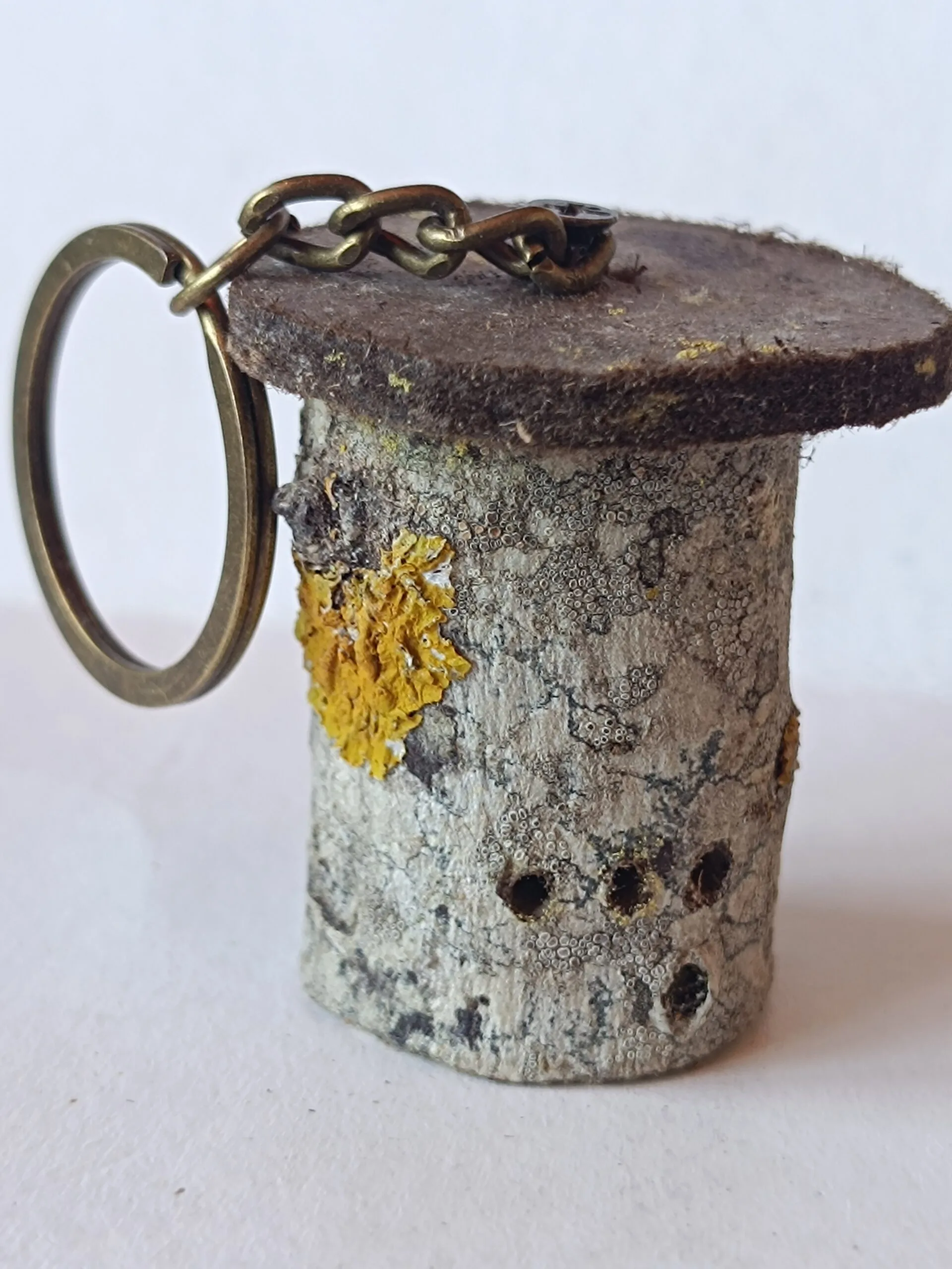 IMG_20250825_130815-scaled