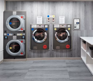 Ecobatanes máquinas profesionales para el lavado y el secado de ropa