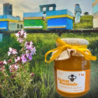 miel artesana pura de abeja