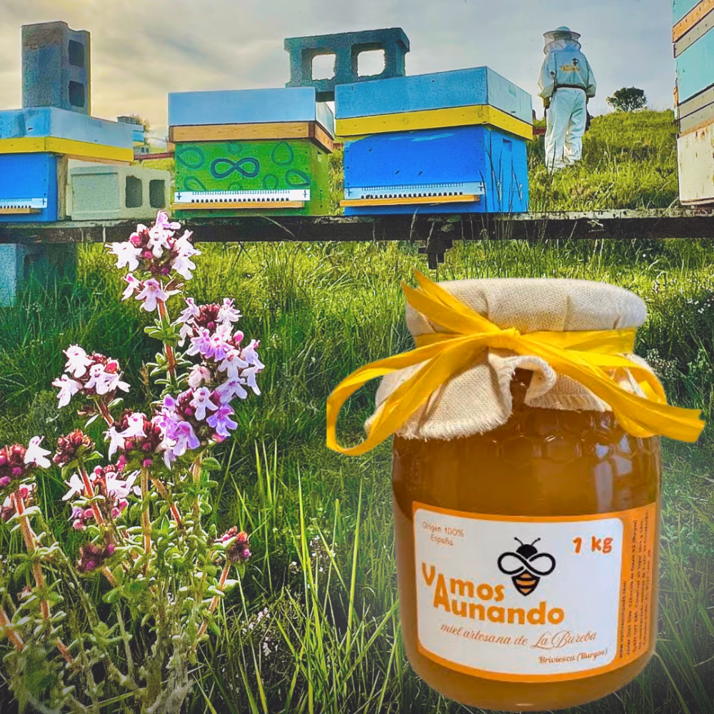 miel artesana pura de abeja