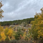 La Traviesa de la Demanda en Cabezón de la Sierra
