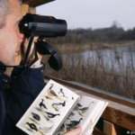 Covarrubias - Avistamiento de aves