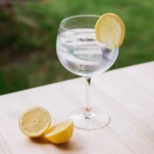 Gin Tonic con Gin Silos