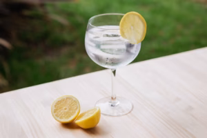 Gin Tonic con Gin Silos